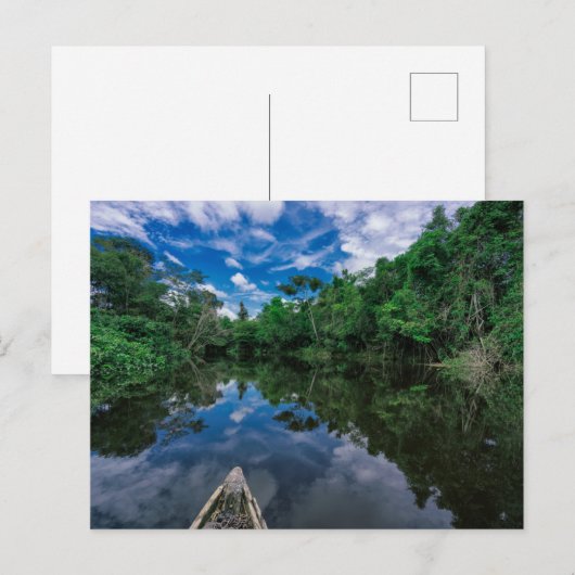 Wälder | Peruanischer Dschungelwald Postkarte (Vorne/Hinten)