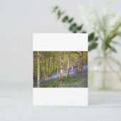 Wälder Postkarte (Stehend Vorderseite)