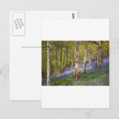Wälder Postkarte (Vorne/Hinten)