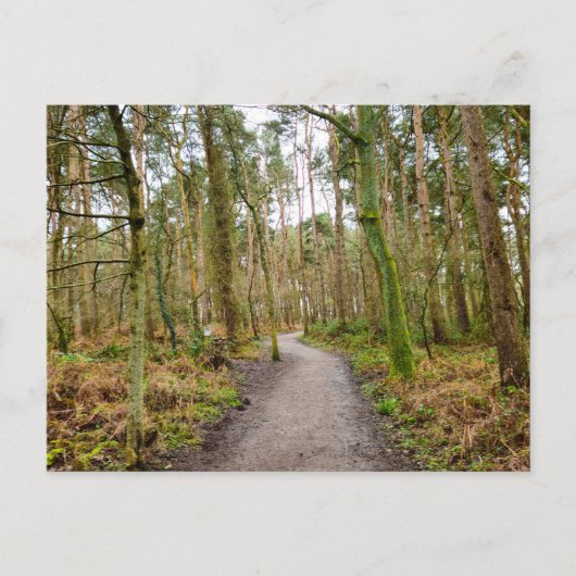 Wälder postkarte (Vorderseite)