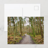 Wälder postkarte (Vorne/Hinten)