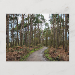 Wälder Postkarte
