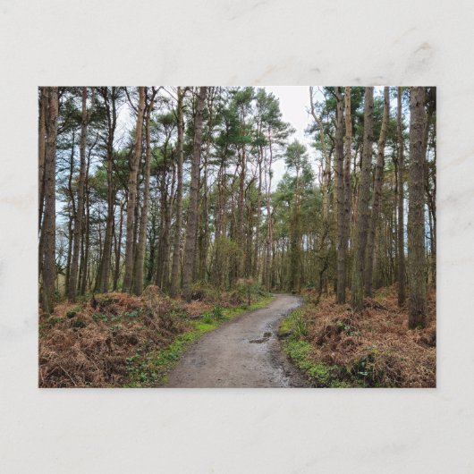 Wälder Postkarte (Vorderseite)