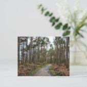 Wälder Postkarte (Stehend Vorderseite)