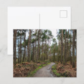 Wälder Postkarte (Vorne/Hinten)