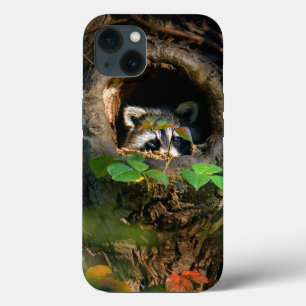 Wälder Raccoon Peeking Case-Mate iPhone Hülle
