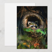 Wälder | Raccoon Peeking Dankeskarte (Vorne/Hinten)