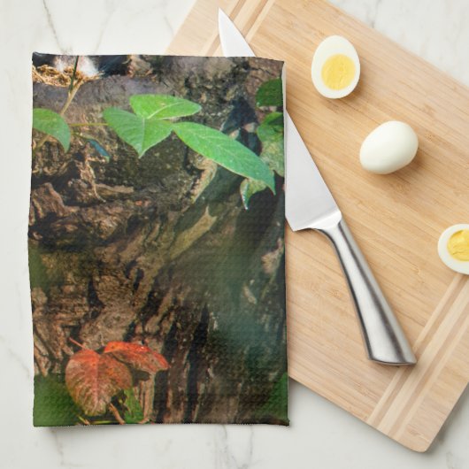 Wälder | Raccoon Peeking Geschirrtuch (Viertel Falte)