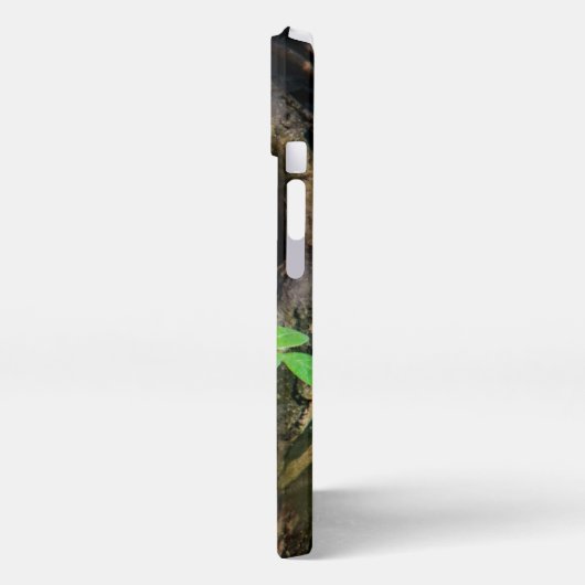 Wälder | Raccoon Peeking iPhone Hülle (Linke Seite)