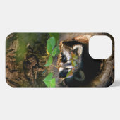 Wälder | Raccoon Peeking iPhone Hülle (Rückseite (Horizontal))