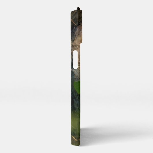 Wälder | Raccoon Peeking iPhone Hülle (Rechte Seite)