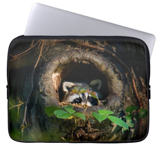 Wälder | Raccoon Peeking Laptopschutzhülle (Vorderseite)