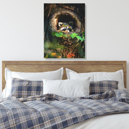 Wälder | Raccoon Peeking Leinwanddruck (Insitu (Schlafzimmer))