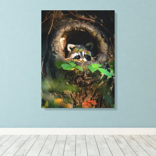 Wälder | Raccoon Peeking Leinwanddruck (Insitu (Holzboden))