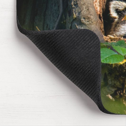 Wälder | Raccoon Peeking Mousepad (Ecke)