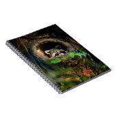 Wälder | Raccoon Peeking Notizblock (Rechte Seite)