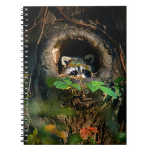 Wälder Raccoon Peeking Notizblock