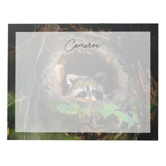Wälder | Raccoon Peeking Notizblock (Vorderseite)