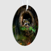 Wälder | Raccoon Peeking Ornament (Vorderseite)