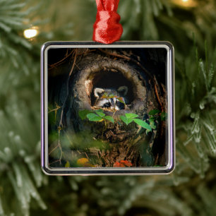 Wälder Raccoon Peeking Ornament Aus Metall