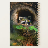Wälder | Raccoon Peeking Planer (Rückseite)