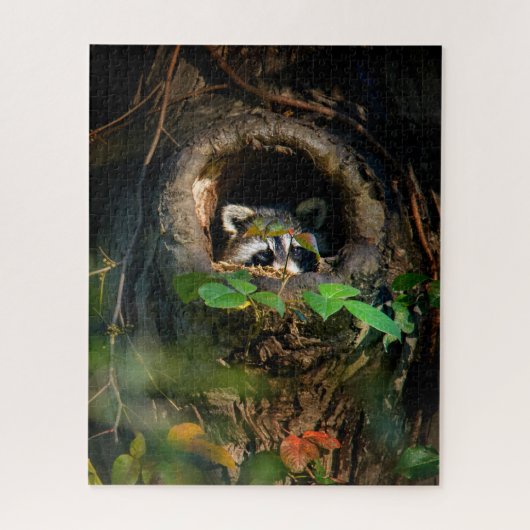 Wälder | Raccoon Peeking Puzzle (Vertikal)