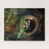 Wälder | Raccoon Peeking Puzzle (Horizontal)