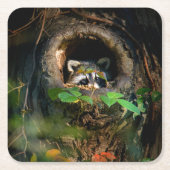 Wälder | Raccoon Peeking Rechteckiger Pappuntersetzer (Vorderseite)