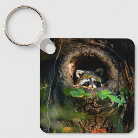 Wälder | Raccoon Peeking Schlüsselanhänger (Vorderseite)