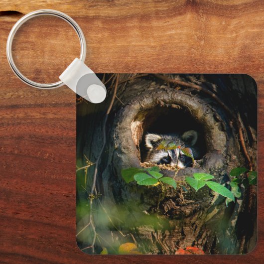 Wälder | Raccoon Peeking Schlüsselanhänger (Vorderseite)