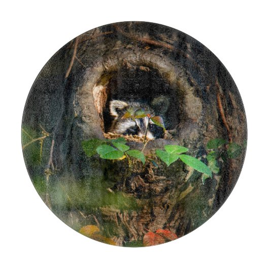 Wälder | Raccoon Peeking Schneidebrett (Vorderseite)