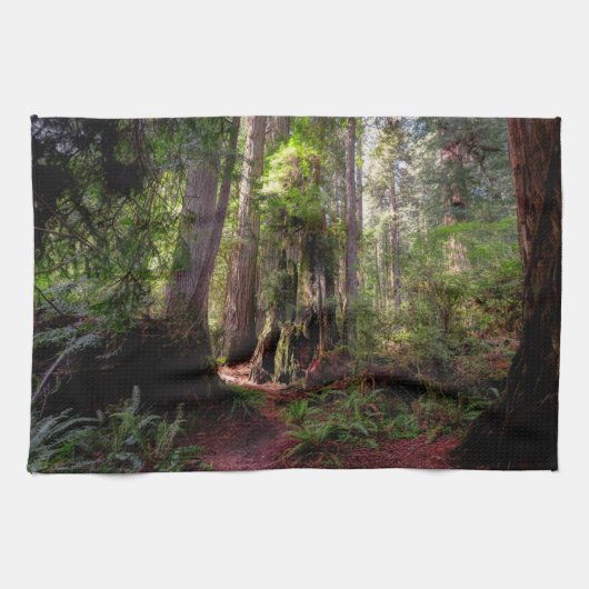 Wälder | Redwood Forest California Geschirrtuch (Horizontal)