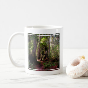 Wälder   Redwood Forest California Kaffeetasse