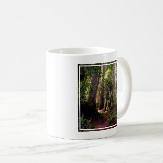 Wälder | Redwood Forest California Kaffeetasse (VorderseiteRechts)