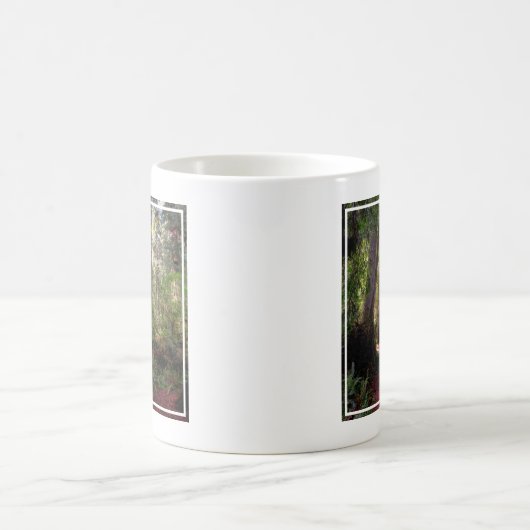 Wälder | Redwood Forest California Kaffeetasse (Mittel)