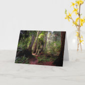 Wälder | Redwood Forest California Karte (Gelbe Blume)
