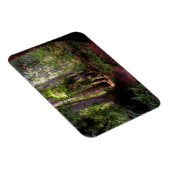 Wälder | Redwood Forest California Magnet (Rechte Seite)