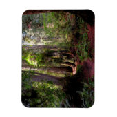 Wälder | Redwood Forest California Magnet (Vertikal)