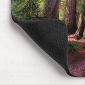 Wälder | Redwood Forest California Mousepad (Ecke)