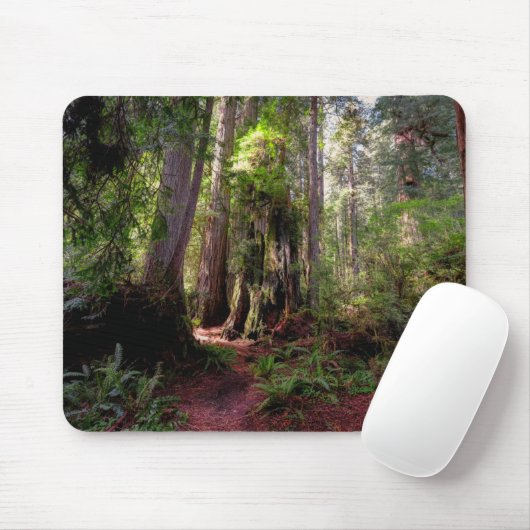 Wälder | Redwood Forest California Mousepad (Mit Mouse)