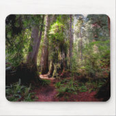 Wälder | Redwood Forest California Mousepad (Vorne)