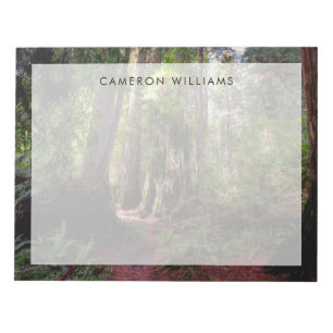 Wälder   Redwood Forest California Notizblock