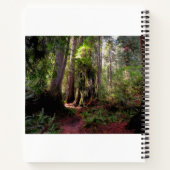 Wälder | Redwood Forest California Notizblock (Rückseite)