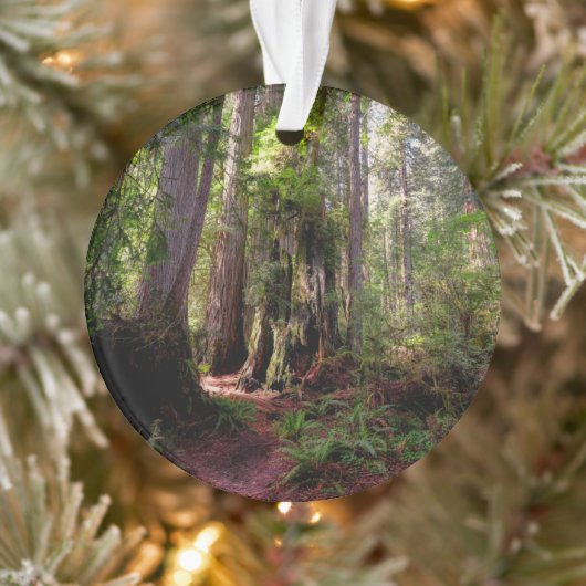 Wälder | Redwood Forest California Ornament (Baum)