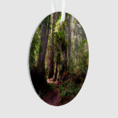 Wälder | Redwood Forest California Ornament (Vorderseite)