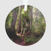 Wälder | Redwood Forest California Ornament (Rückseite)