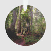 Wälder | Redwood Forest California Ornament (Vorderseite)