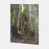 Wälder | Redwood Forest California Ornament Aus Glas (Vorderseite links)