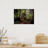 Wälder | Redwood Forest California Poster (Küche)