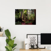 Wälder | Redwood Forest California Poster (Heimbüro)